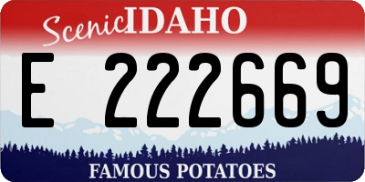 ID license plate E222669