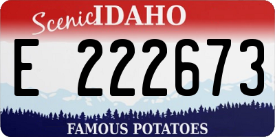ID license plate E222673