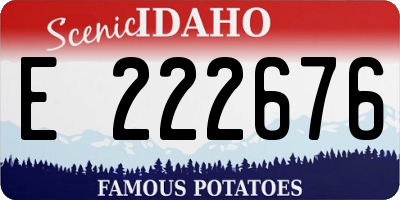 ID license plate E222676