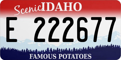 ID license plate E222677