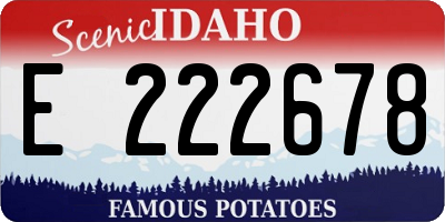ID license plate E222678