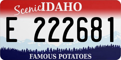 ID license plate E222681