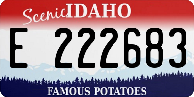 ID license plate E222683