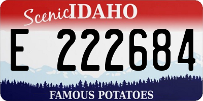 ID license plate E222684