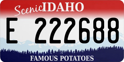 ID license plate E222688