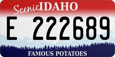 ID license plate E222689