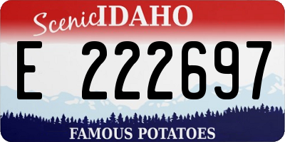 ID license plate E222697