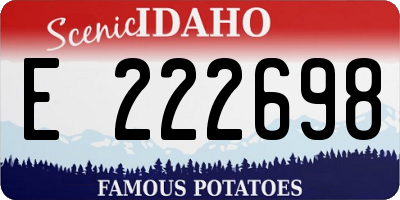 ID license plate E222698