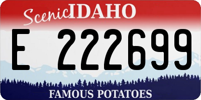 ID license plate E222699