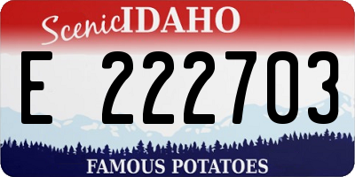 ID license plate E222703