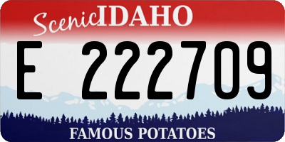 ID license plate E222709