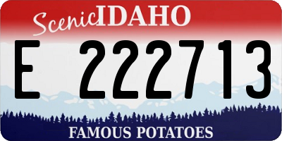 ID license plate E222713