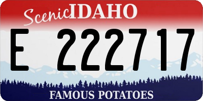 ID license plate E222717