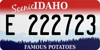 ID license plate E222723