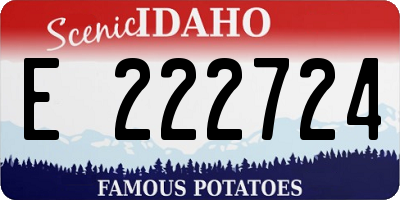 ID license plate E222724