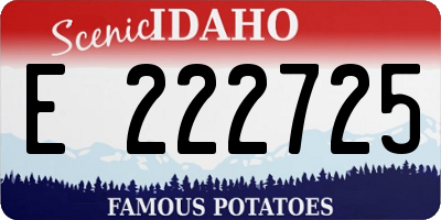 ID license plate E222725
