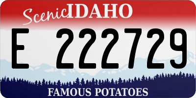 ID license plate E222729