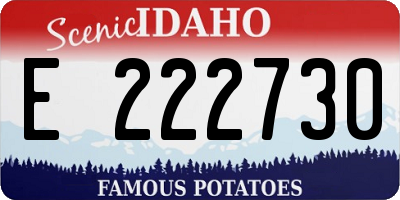ID license plate E222730