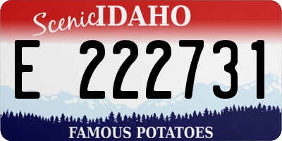 ID license plate E222731