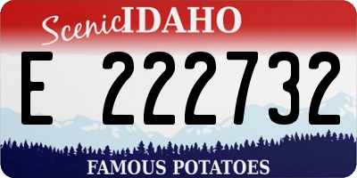 ID license plate E222732