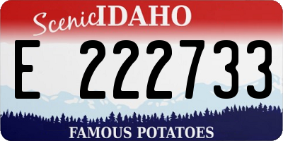 ID license plate E222733