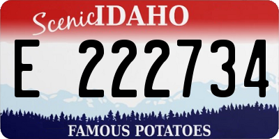 ID license plate E222734