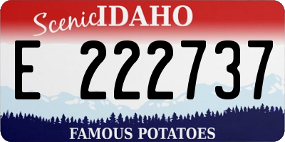 ID license plate E222737