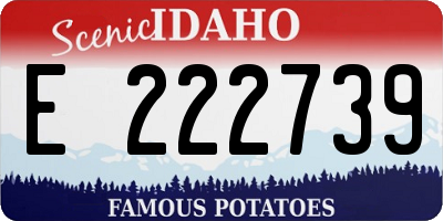 ID license plate E222739