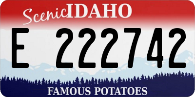 ID license plate E222742