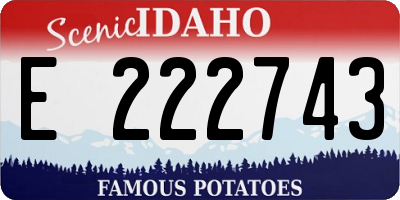 ID license plate E222743