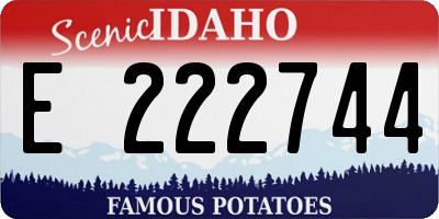 ID license plate E222744