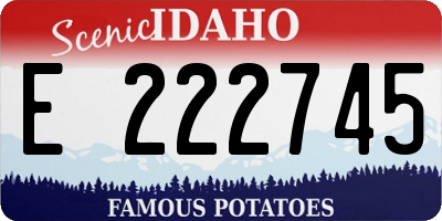 ID license plate E222745