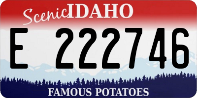 ID license plate E222746