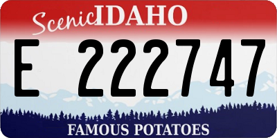 ID license plate E222747
