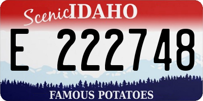 ID license plate E222748