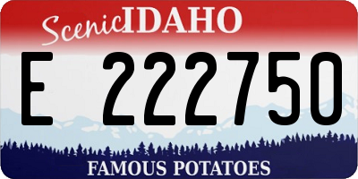 ID license plate E222750