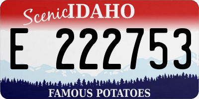 ID license plate E222753