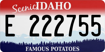 ID license plate E222755