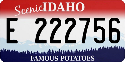 ID license plate E222756