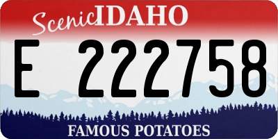 ID license plate E222758