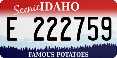 ID license plate E222759