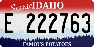 ID license plate E222763