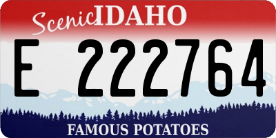 ID license plate E222764
