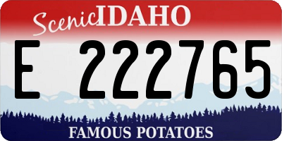 ID license plate E222765