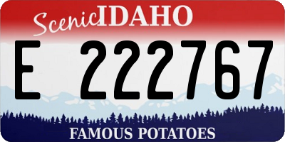 ID license plate E222767
