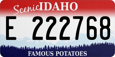 ID license plate E222768