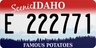 ID license plate E222771