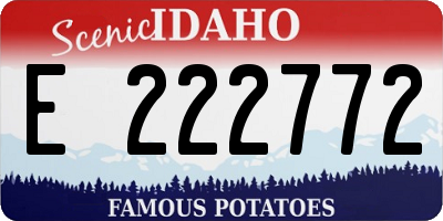 ID license plate E222772