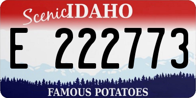 ID license plate E222773