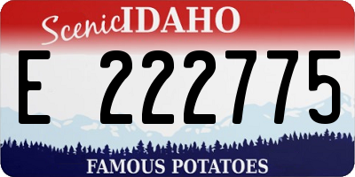 ID license plate E222775